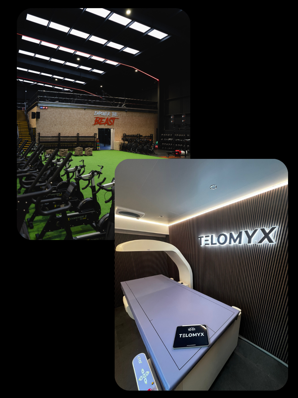 Whole Body Comp DEXA Scan & Resting Metabolic Rate Test (RMR)