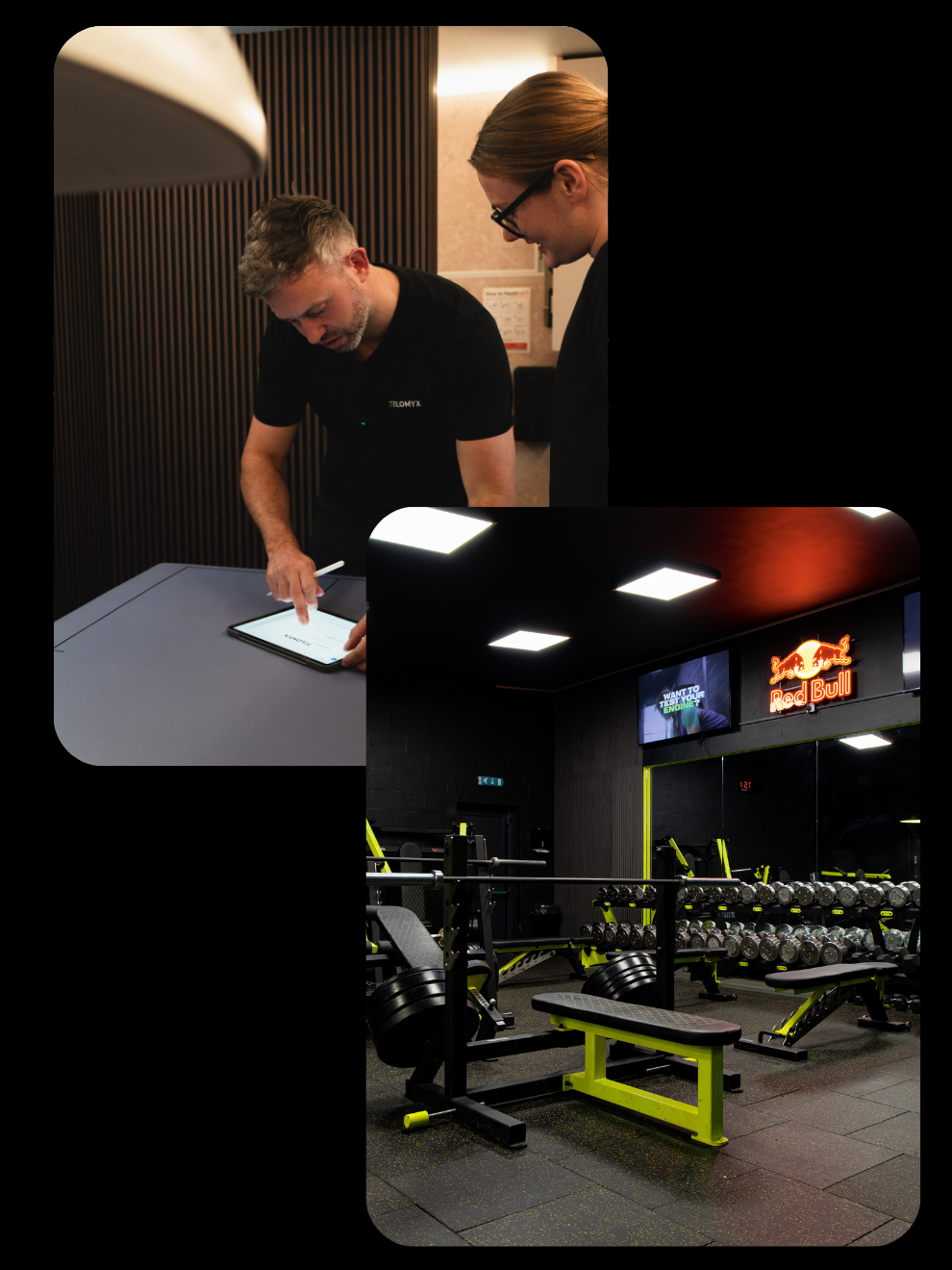 Whole Body Composition DEXA Scan