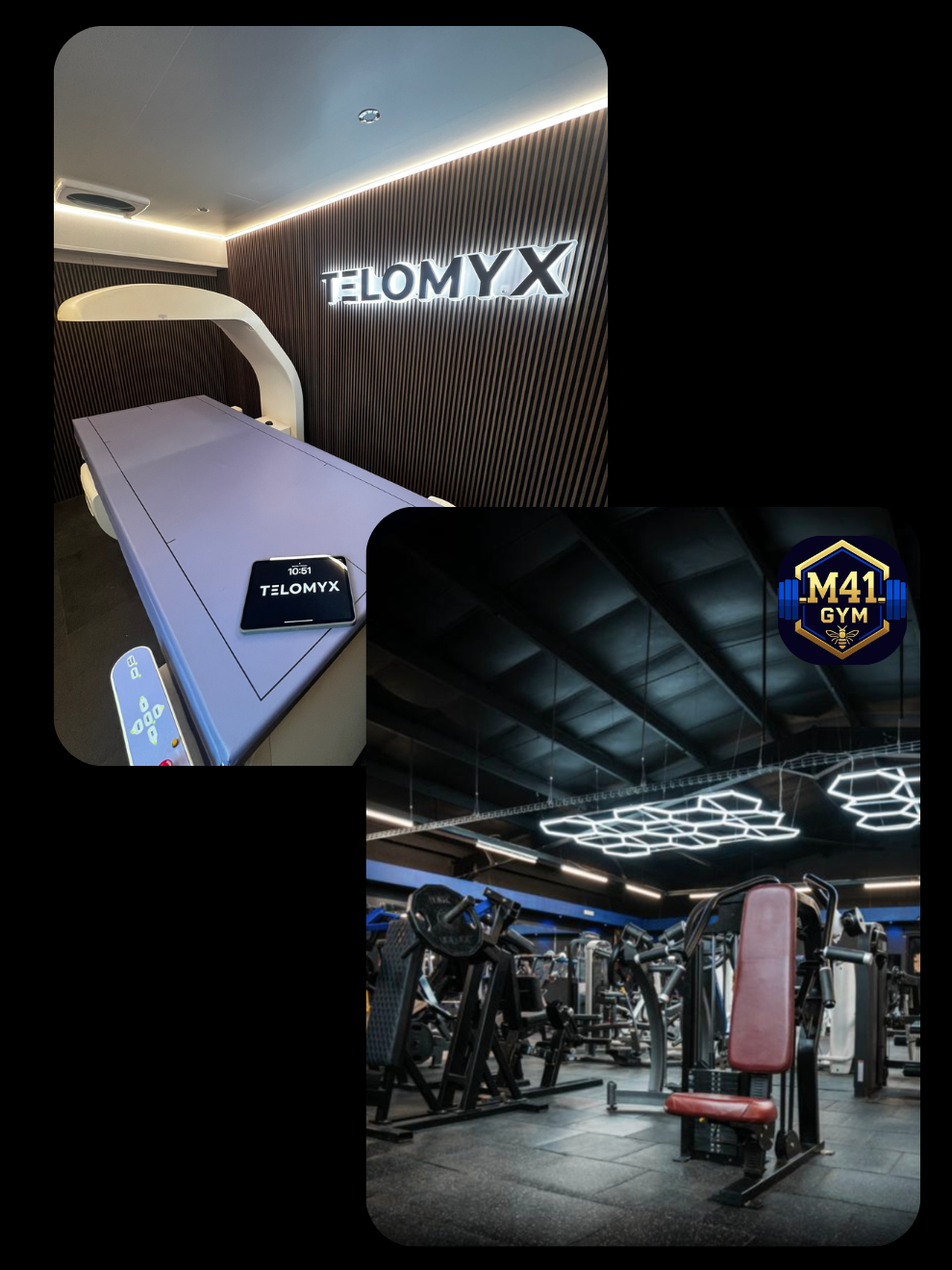 Whole Body Composition DEXA Scan