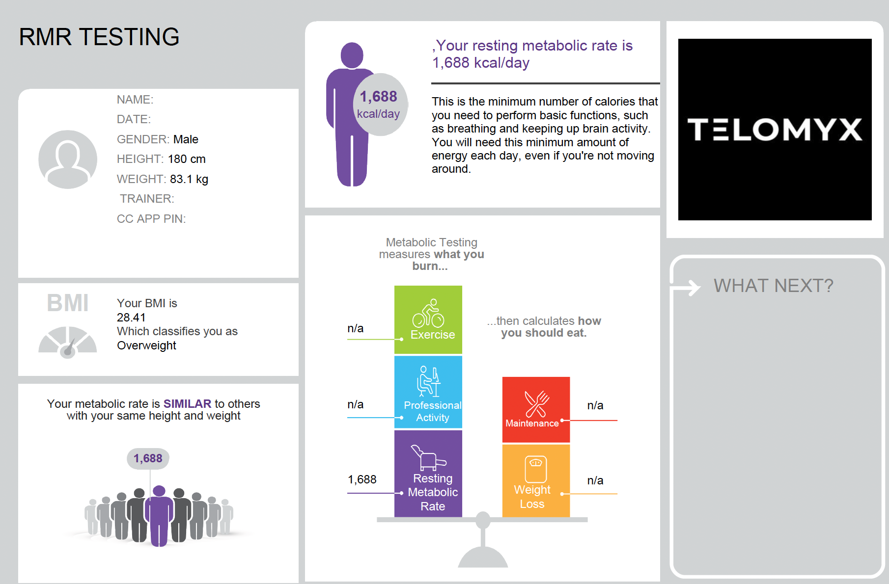 An image of the Key Metrics (Dashboard) section of the Telomyx RMR report