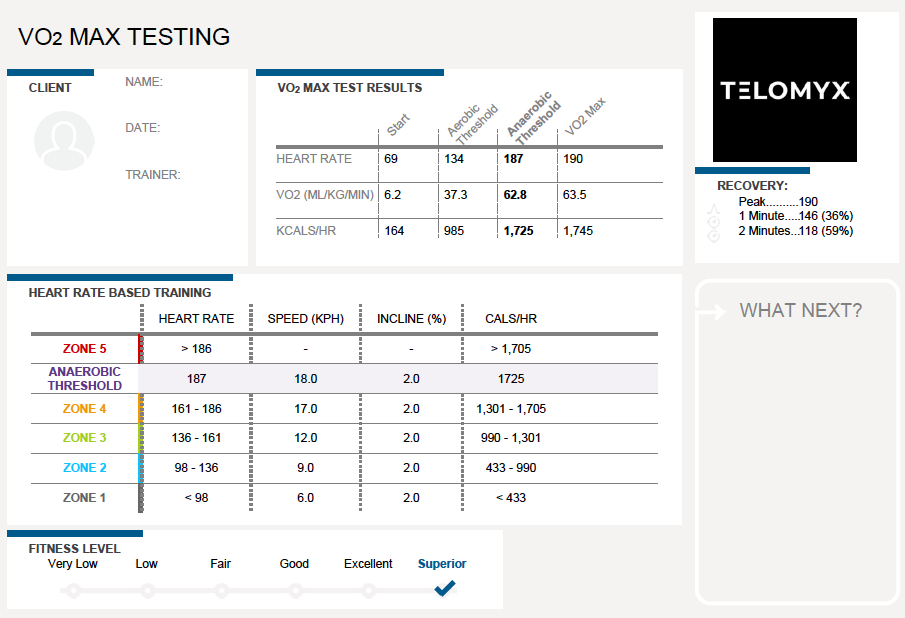 An image of the Key Metrics (Dashboard) section of the Telomyx DEXA report