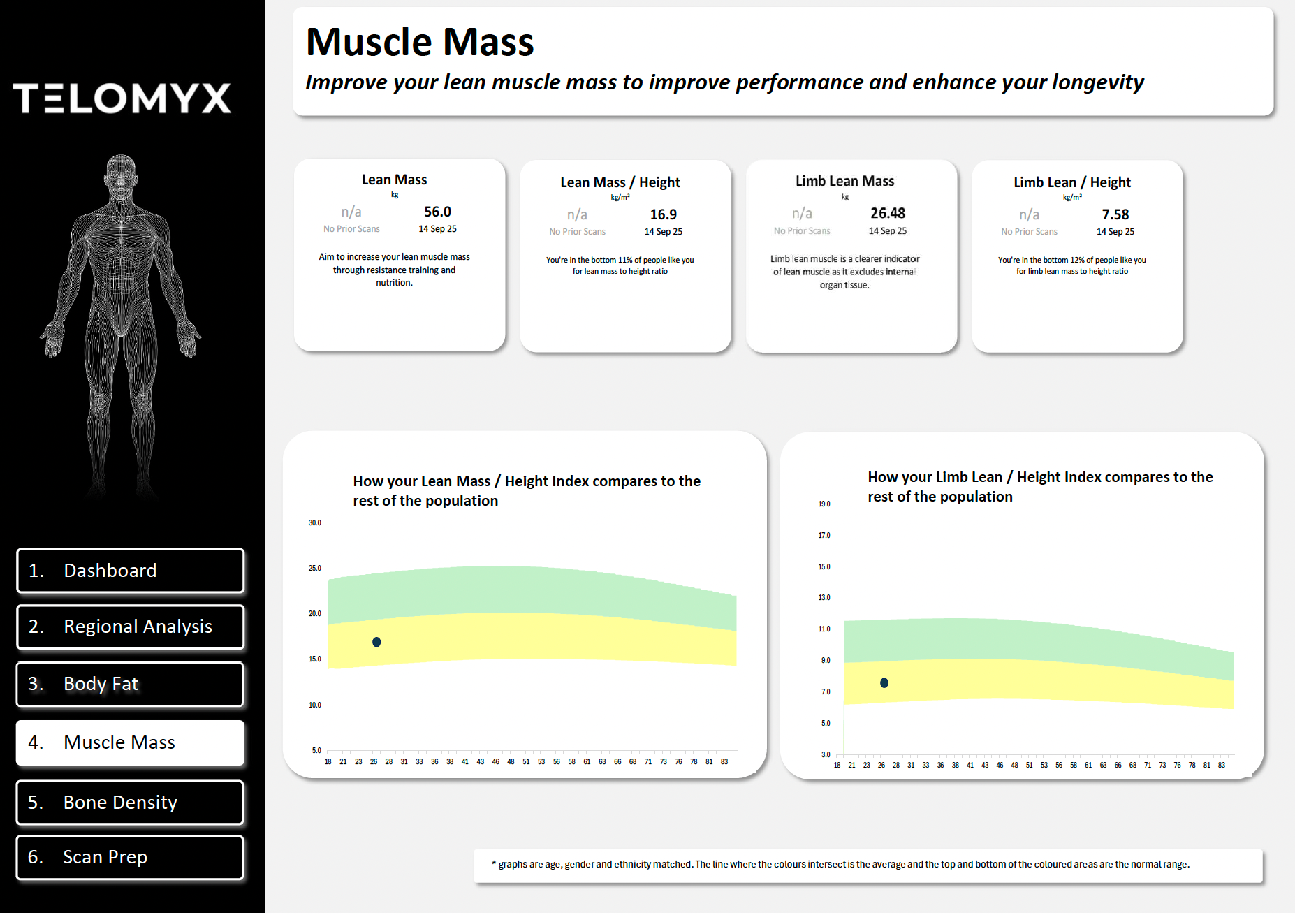 An image of the Muscle (Lean) Mass section of the Telomyx DEXA report