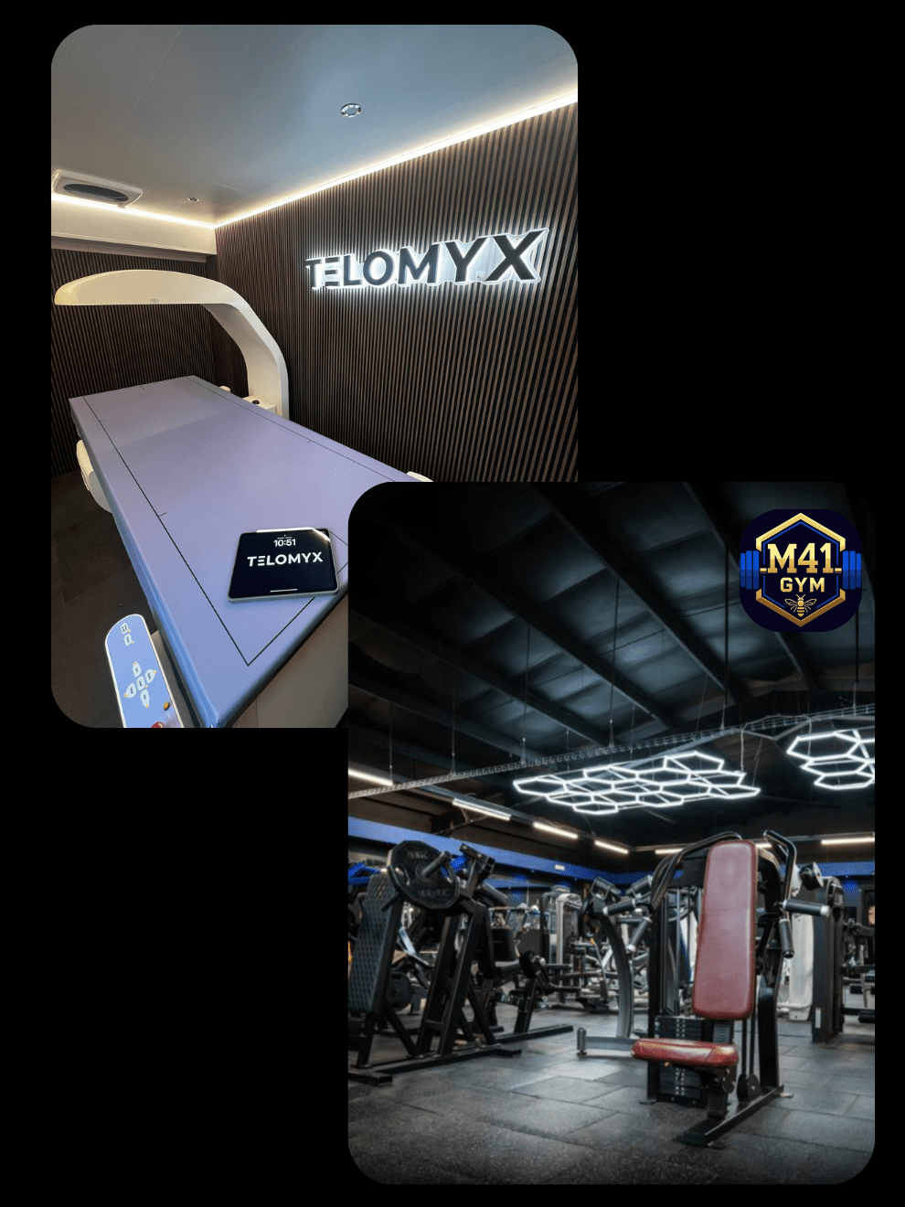 Whole Body Composition DEXA Scan - Telomyx